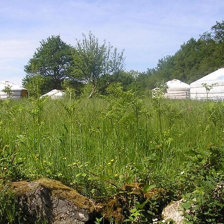 Yourtes de Vassivière Peyrat-le-Château Extérieur photo