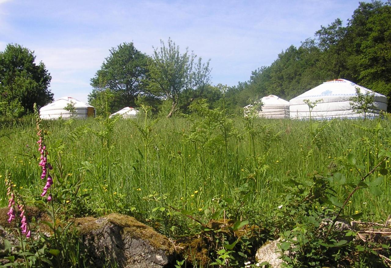Yourtes de Vassivière Peyrat-le-Château Extérieur photo