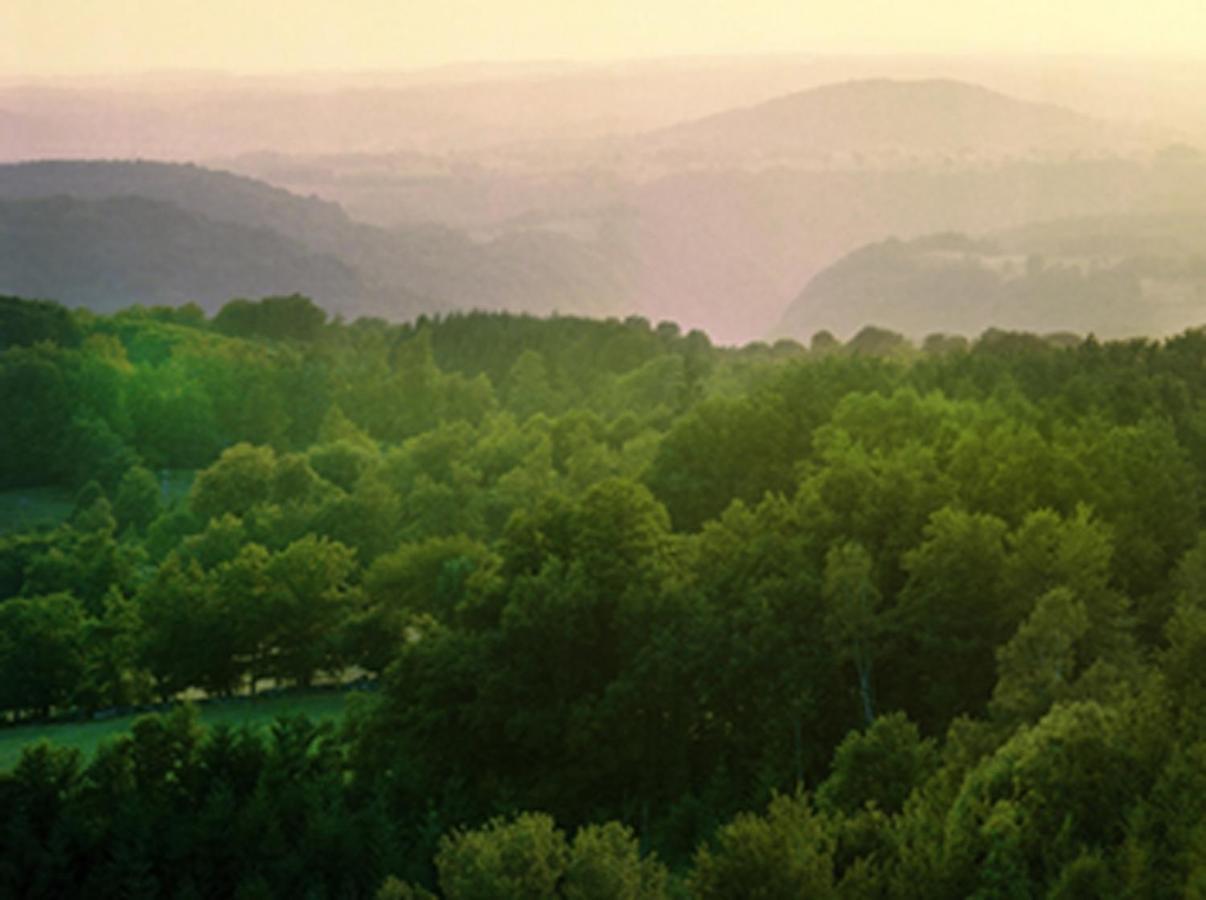 Yourtes de Vassivière Peyrat-le-Château Extérieur photo